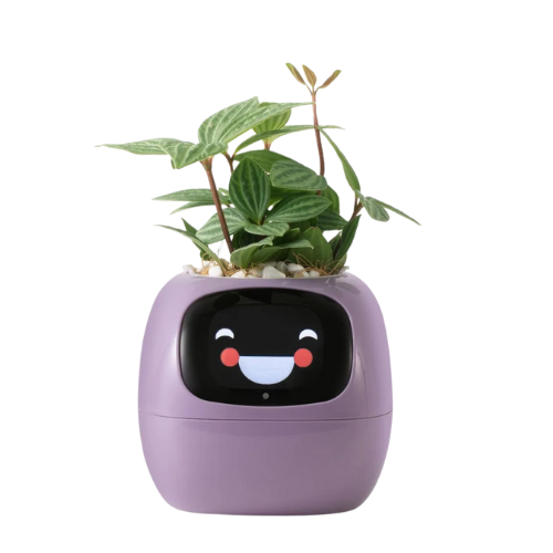 JARDINIERE INTELLIGENTE & INTERACTIVE - 5 COLORS